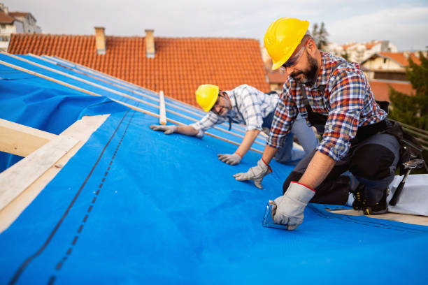 Best Roof Waterproofing Services  in Mledgevle, IL