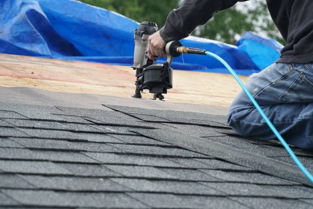 Best Roof Gutter Cleaning  in Mledgevle, IL