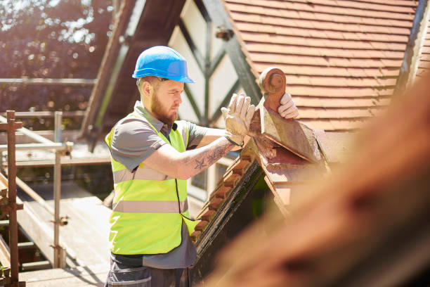 Best New Roof Installation  in Mledgevle, IL