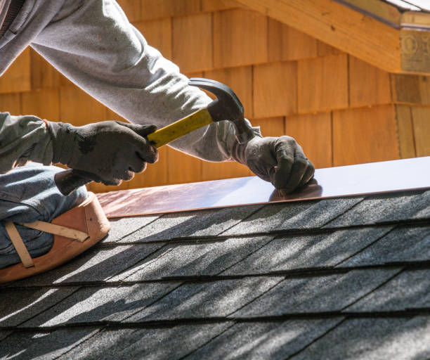Best Roof Leak Repair  in Mledgevle, IL